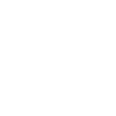 Alt text for your logo